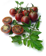 Tomate Black Cherry (Tomate Cereja Preto) - 20 Sementes - Frete Grátis